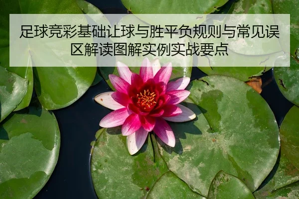 足球竞彩基础让球与胜平负规则与常见误区解读图解实例实战要点